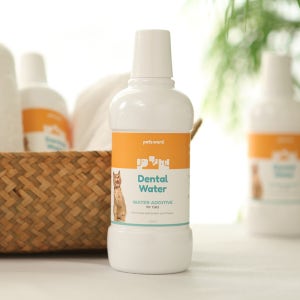 펫츠워드 캣 덴탈 워터 500ml 고양이 입냄새 구취 제거 치석 관리
