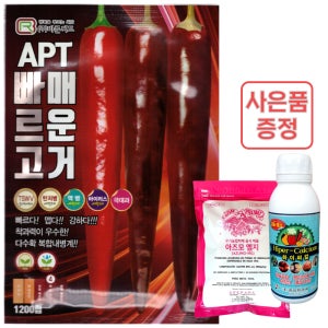 APT빠르고조은거 고추 1200립 씨앗 종자 복합내병계 품종 바른씨드