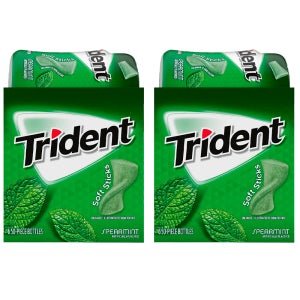 Trident 트라이던트 스피어민트 무설탕 껌 50개입 12팩