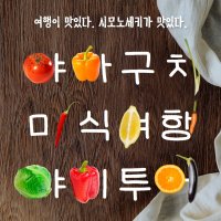 부관훼리 2박3일 길라잡이 안내원 동행 세미패키지여행 시모노세키 고쿠라 쵸후마을