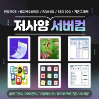 원격컴퓨터임대 (인텔 E5-2670 / 램6G / SSD 30G / 기본그래픽) 원격PC임대 | 공인IP 제공