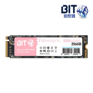 비트엠 Newsync BITS M.2 NVMe (256GB) TLC 3D 낸드플래시 PCle GEN3x4 SSD