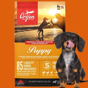 (+소분팩세트) 오리젠 퍼피, 11.4kg, 1개