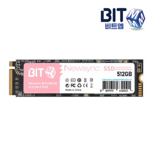비트엠 Newsync BITS M.2 NVMe (512GB) TLC 3D 낸드플래시 PCle GEN3x4 SSD