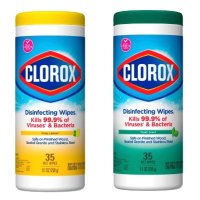 Clorox 클로락스 세정 티슈 2종