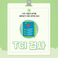 TCI 심리검사(전문가 해석 포함, 30분 진행)