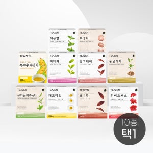 티젠 티백류 100T 유기농 녹차 외 10종