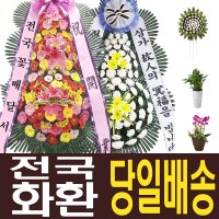 문경축하화환 상주꽃바구니 문경시근조화환