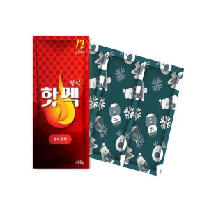 애니데이 방석 핫팩 400g 10개