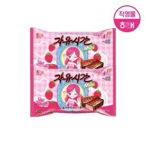 해태 미니 자유시간 (480g X 2개)