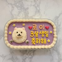 강아지 생일 케이크 보틀 반려견 파티 수제주문제작 반려동울 고구마