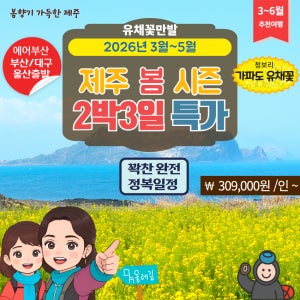 [봄특선 제주] 유채꽃 제주 꽉찬 2박3일-부산서울대구출발