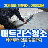 [아마따몰] 매트리스청소 침대케어 전문업체 퀸킹사이즈 전지역가능/피톤치드 연무