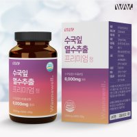 워너웰 수국잎 열수 추출물 프리미엄정 1000mg 60정