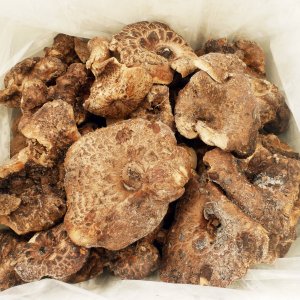 며느리약초 자연산 능이버섯 냉동 건조 육수용 1kg 100g