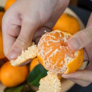 [산지직송] 제주도 유기농 감귤 5kg / 10kg