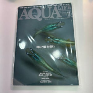 아쿠아라이프 월간지 2022년 11월호 메다카를 만든다
