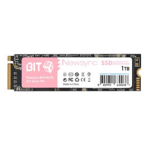 비트엠 Newsync BITS M.2 NVMe (1TB) 1TB M2 SSD