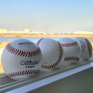 스카이라인 야구공 경식공 안전공 1타