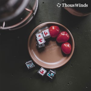 스몰 플레이트 캠핑그릇 식기 ThousWinds 빈티지실버