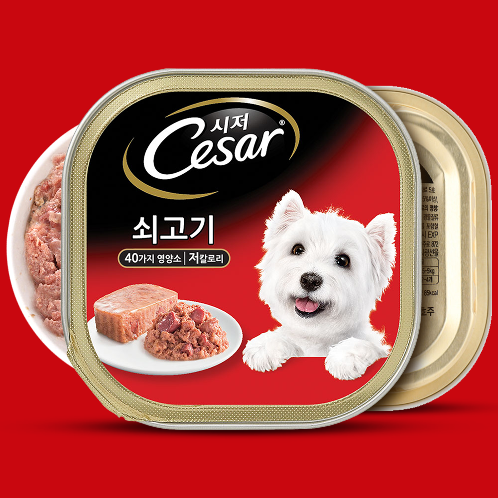 시저 강아지 습식사료 캔 시저 쇠고기, 100g, 1개