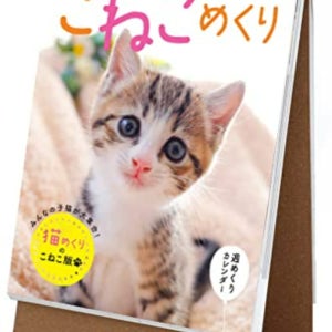 고양이 달력 2023년 (매주 한장 고양이 사진)