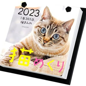고양이 달력 2023년 (매일 한장 고양이 사진)