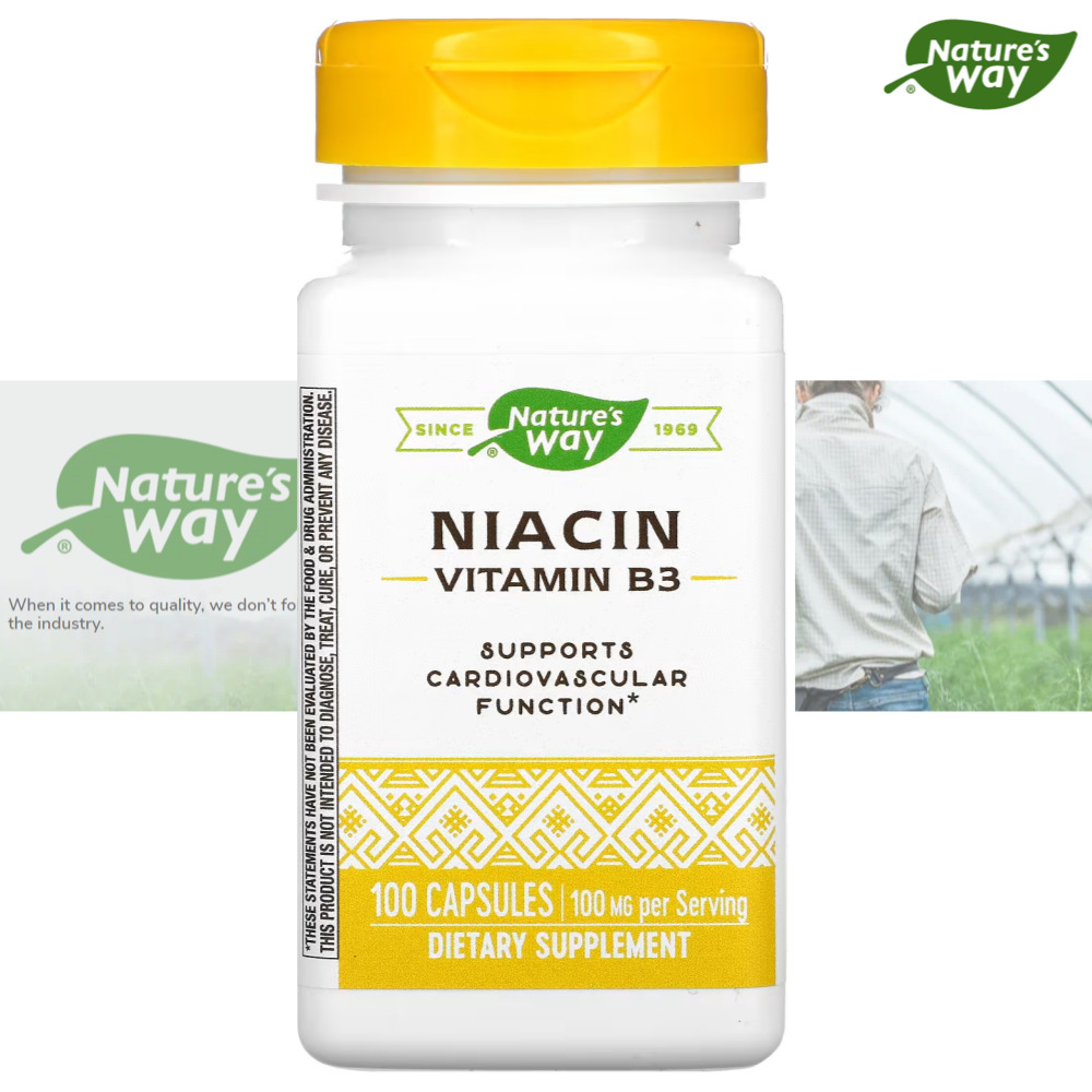 Nature’s Way 네이처스웨이 니아신 비타민B3 100mg 캡슐 100정