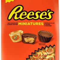 리세스 REESE’S 벌크 초콜릿 - 초콜릿 캔디 땅콩 버터 컵 미니, 나누어 먹을 개별 포장 캔디, 900g