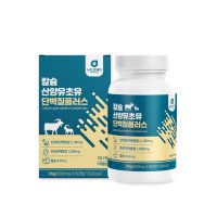 산양유초유단백질 600mg x 60정 BCAA 알약 동물성 식물성 분리유청단백질알약 분말