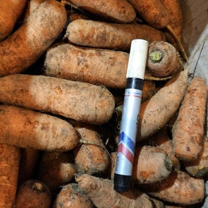 제주도 구좌 무농약 햇 흙 당근 10kg 실속형 쥬스용 주스용 5kg