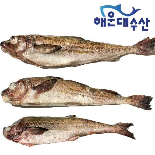 냉동 동태 명태 5통 6통 10k 21k 박스도매 업소용 러시아산 동태