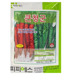큰청군 청양고추씨앗 12000립 대포장 대과종 매운고추종자 바이러스 저항성 땡초 피피에스