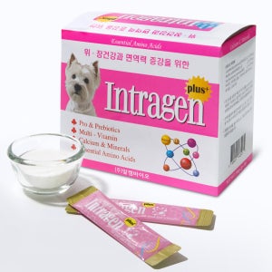 인트라젠 강아지 종합영양제 장염 설사 30p