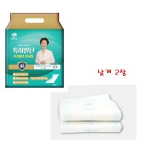 성인용 속 기저귀 패드 일자형 24cm 2개 노인 어른 요양병원