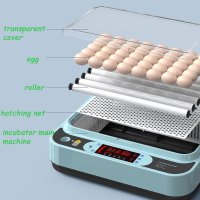 기러기 오리알 병아리 부화기 계란 부하기 인공 부화기 알 인큐베이터 전자동 조절 습도 온도