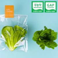 [당일수확] 로메인 1kg 유러피안샐러드 프리미엄 샐러드용야채