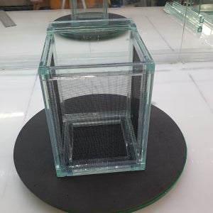 앙코르 수족관 유리 치어 통