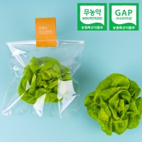 [당일수확] 버터헤드레터스 1kg 유러피안샐러드 프리미엄 샐러드용야채