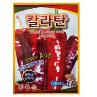 칼라탄 고추씨앗 종자1300립