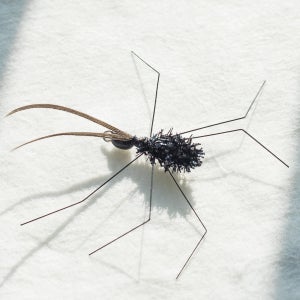 털개미 수제고양이장난감 낚시대 곤충 리필