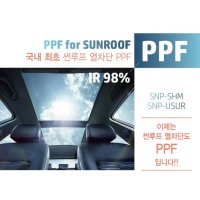 열차단 PPF필름 (폭 1.5M X 길이1M)