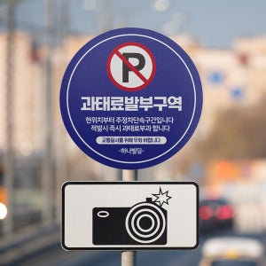 표지판 불법 주정차 단속 과태료 부과 발부 신고 구역 표지판 무단 주차 정차 금지 경고 우회 안내판 도로 교통 안전 표시판