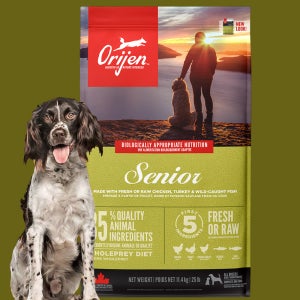 (+소분팩세트) 오리젠 시니어 독, 11.4kg, 1개