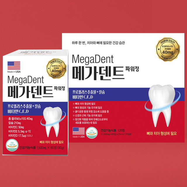 <b>초당약품</b> 메가덴트 파워정 120정 약 4개월분 잇몸 치아 뼈 프로폴리스추출물 칼슘
