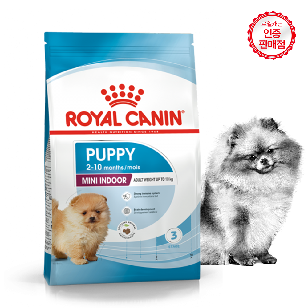 강아지 프리미엄 사료 추천