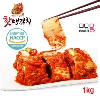 핫땡 불김치 더 맛있게 매운 실비 김치 1kg