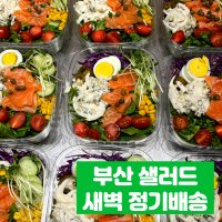 [데일리] 부산 샐러드 정기배송 단체 회사 정기 구독 새벽 배송 배달 도시락 식단