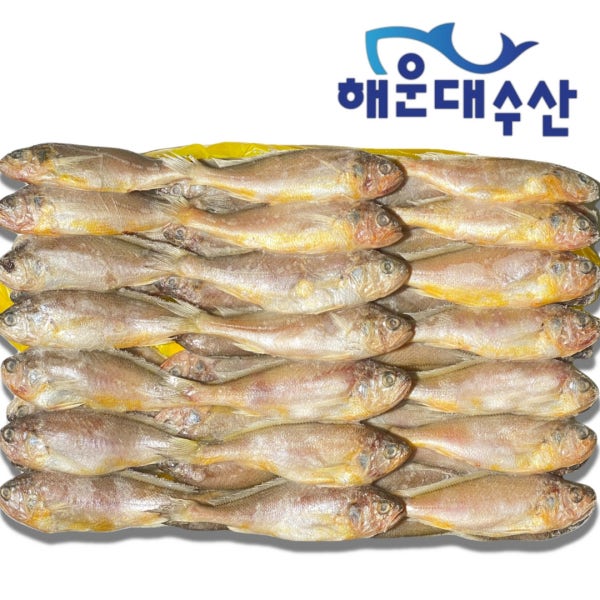 조기 참조기 3.65kg 10kg 민어조기 부세 가이석태속 업소용 도매 냉동 굴비