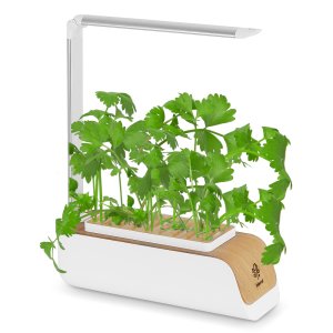가정용 식물재배기 스마트팜 상추 채소 허브 야채 새싹 키우기